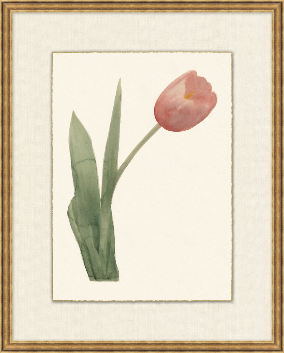 Spring Tulip 2 (WFL1596) | Highlight image