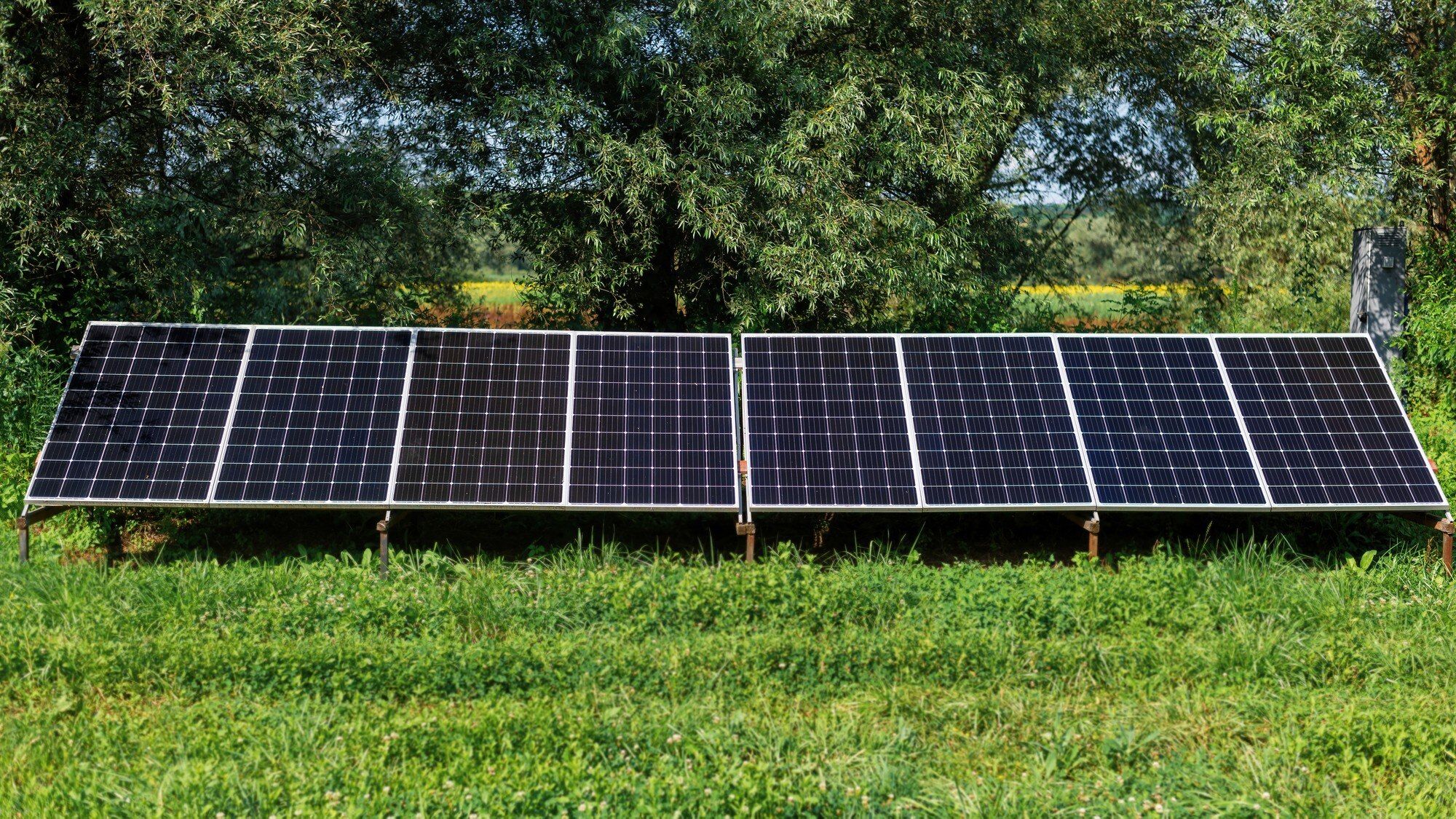 solar-panels-ground-nature-greenery-around_1268-18260.jpg