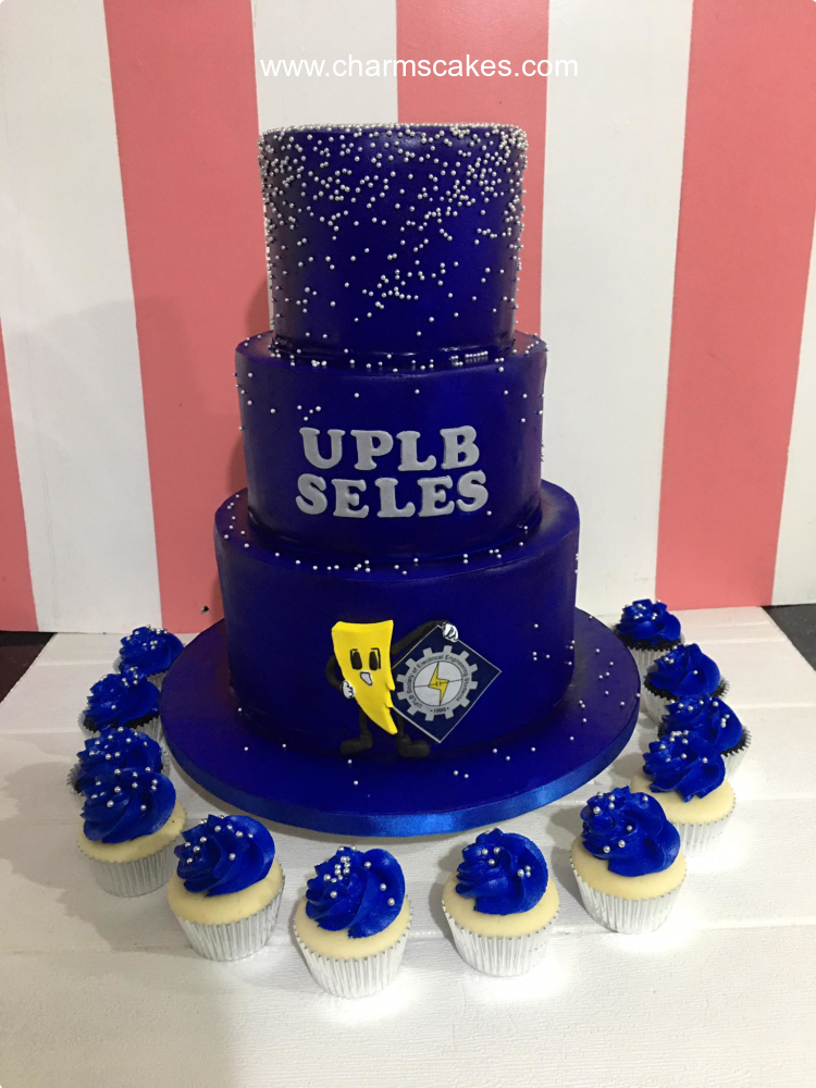 UPLB SELES Business Custom Cake