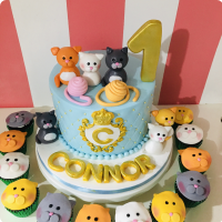 Connor's Cats Cats Custom Cake