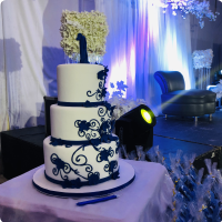 Cake of the Night Debut Custom Cake