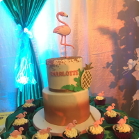 The Flamingo Debut Custom Cake