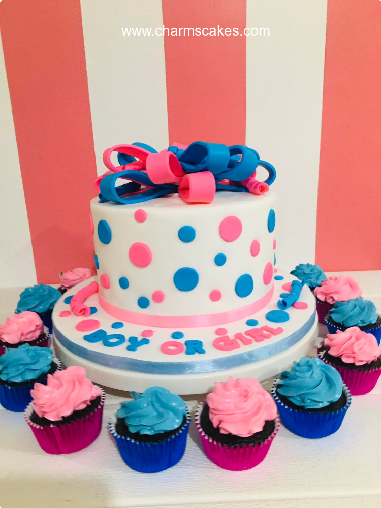 Boy or Girl Gender Reveal Custom Cake