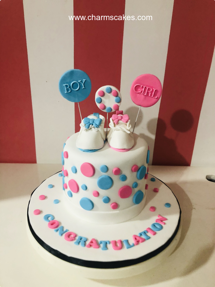 Bor or Girl Reveal Gender Reveal Custom Cake