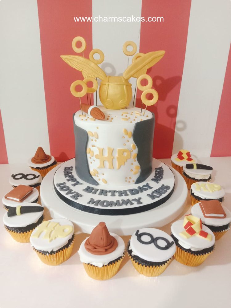 Asha's Harry Potter Custom Cake