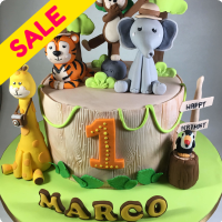 Marco Jungle Safari Custom Cake
