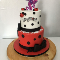 Stephanie's Miraculous Lady Bug Custom Cake