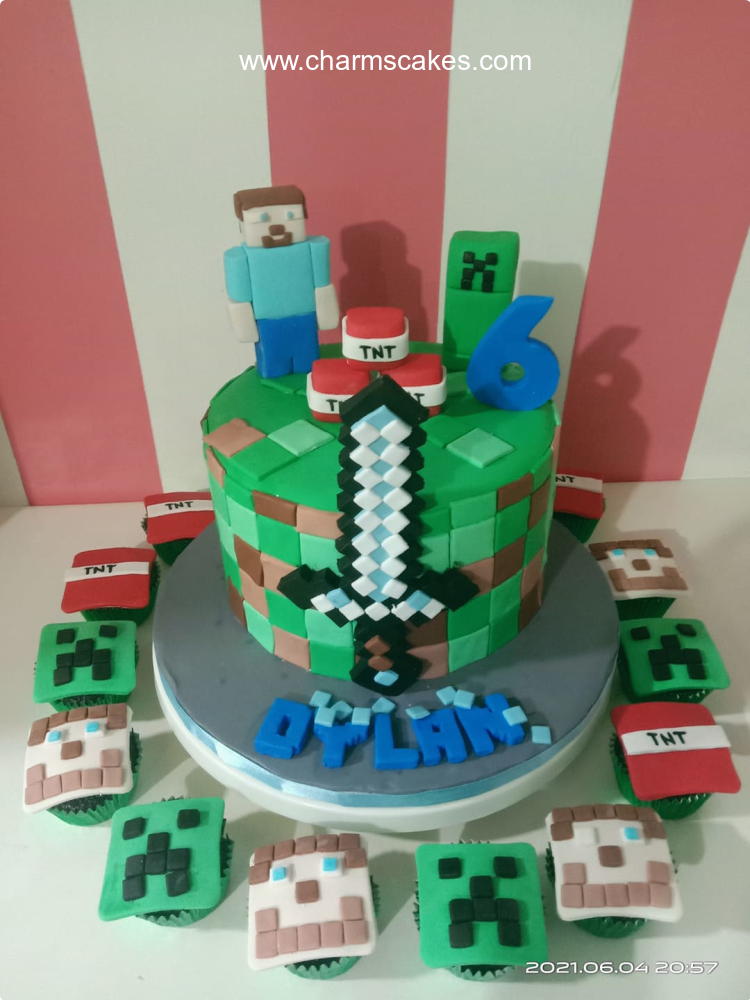 Oylan Minecraft Custom Cake