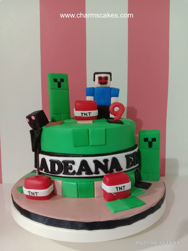 Adeana's Minecraft Custom Cake