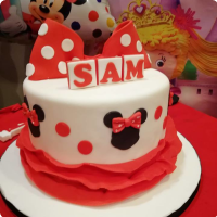 Sam Minnie Mouse Custom Cake