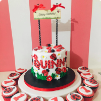 Lady bug Featured Custom Cake