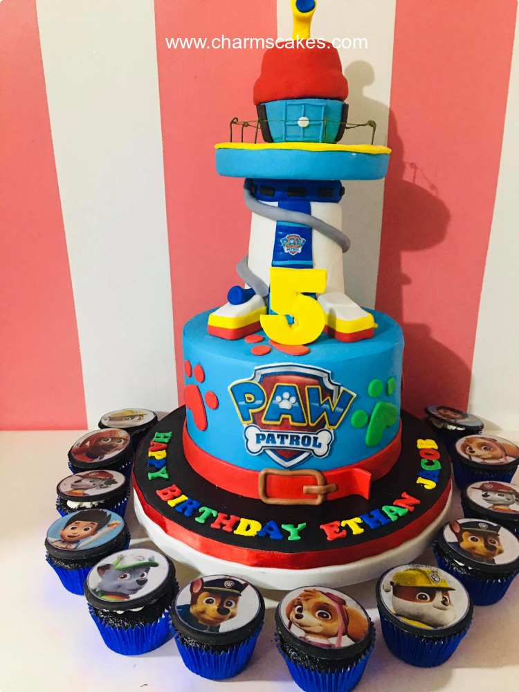 Jacob Paw Patrol Custom Cake