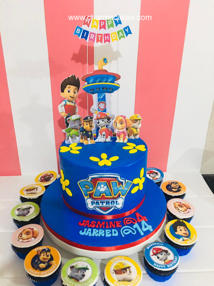 Jasmine's Paw Patrol Custom Cake