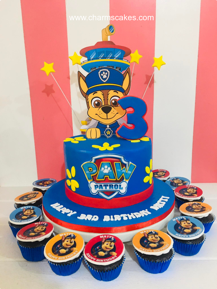 Matty's Paw Patrol Custom Cake