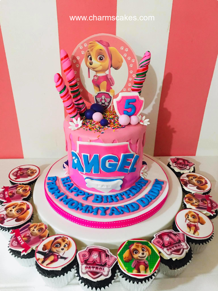 PAW PATROL SKYE CAKE