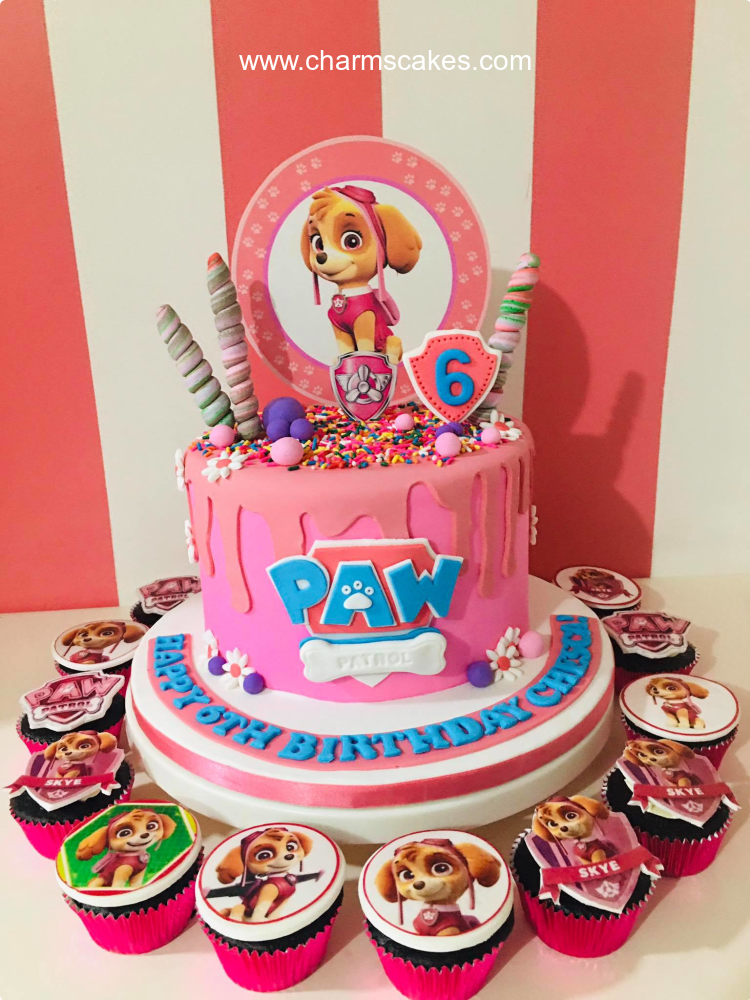 Chesca Paw Patrol Custom Cake