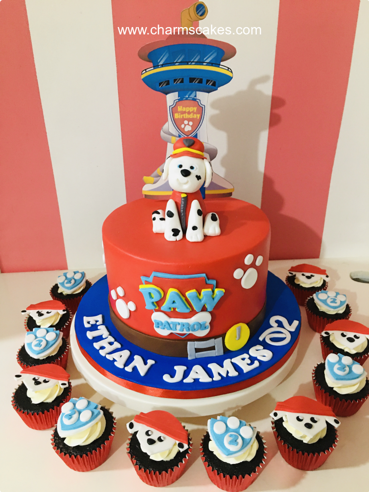 Ethan's Paw Patrol Paw Patrol Custom Cake