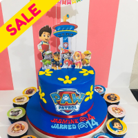 Jasmine's Paw Patrol Custom Cake