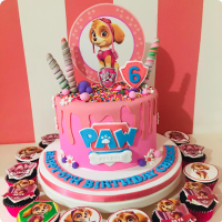 Chesca Paw Patrol Custom Cake