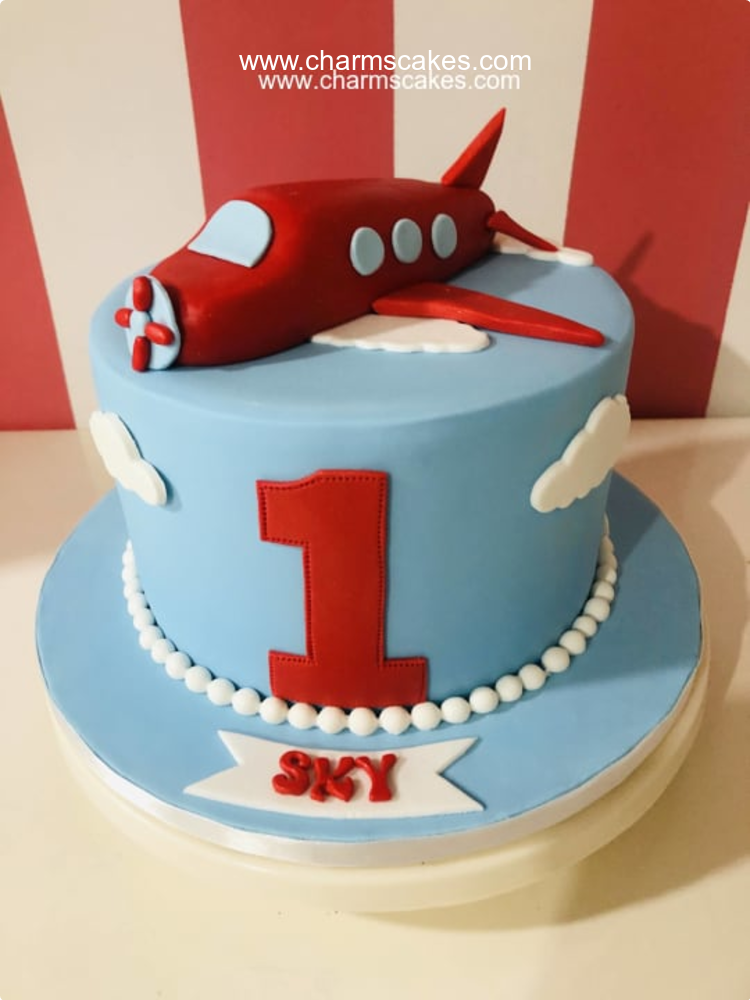 Sky's Planes Custom Cake