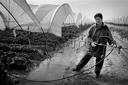 Le jardin de l'Europe ou le troisième monde