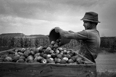 La Campagne de Lerida (Pommes Pêches Poires)