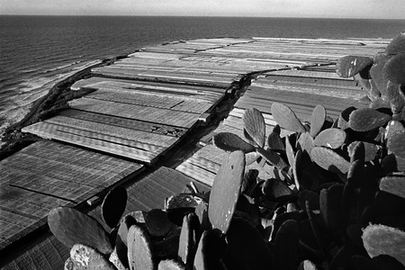 La Campagne d'Almeria (Tomates Courgettes Pastèques)