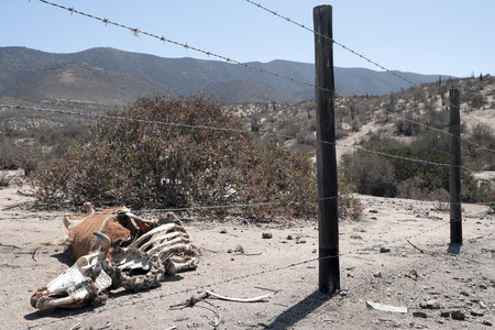 Chile after the COP (Cross-reference)