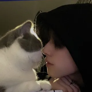 「。」のユーザーアイコン