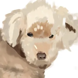 「くぅ」のユーザーアイコン