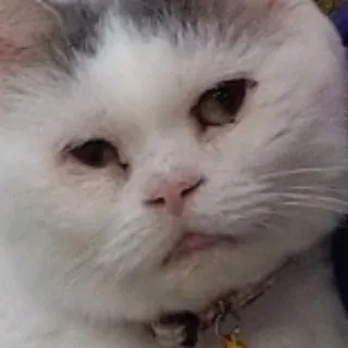 「空叶」のユーザーアイコン