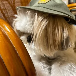 「くちぱっち」のユーザーアイコン