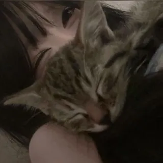 「紫苑.」のユーザーアイコン