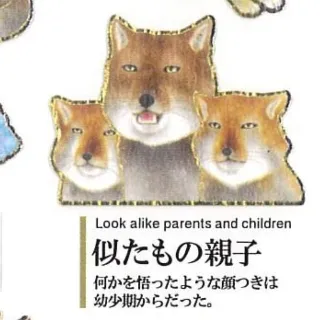 「チベスナ」のユーザーアイコン