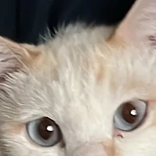 「すずsuzu_.0226」のユーザーアイコン