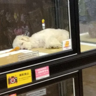 「ゆう」のユーザーアイコン