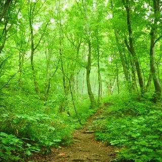 「みっきー　31 無職」のユーザーアイコン