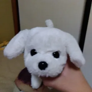 「あや」のユーザーアイコン