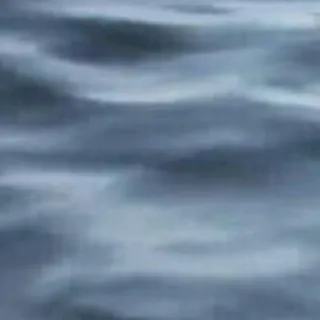 「サカバンバスピス」のユーザーアイコン