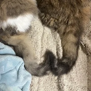 「どじょこ」のユーザーアイコン