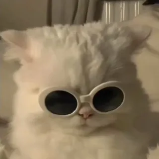 「はしも」のユーザーアイコン