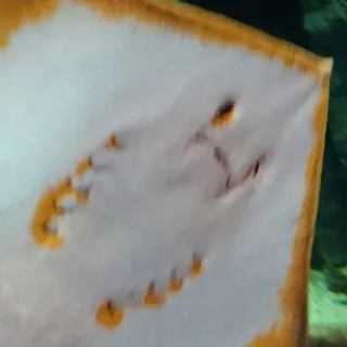 「Ai（ﾙｰﾙ）」のユーザーアイコン