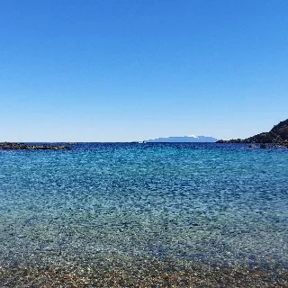 「たぬき」のユーザーアイコン