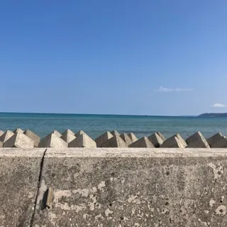 「🐬🏝」のユーザーアイコン