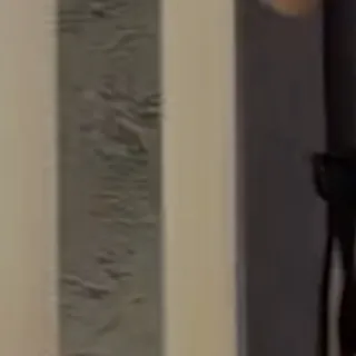 「にん」のユーザーアイコン