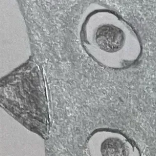 「私テリーしゃん」のユーザーアイコン