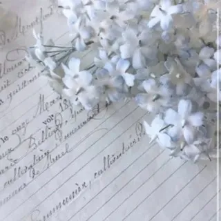 「うさﾀﾞﾖ」のユーザーアイコン