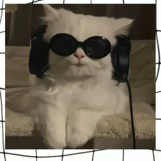 「いの🎸🎧️🍂」のユーザーアイコン