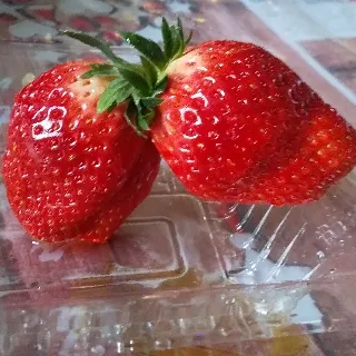 「リンゴ🍎」のユーザーアイコン