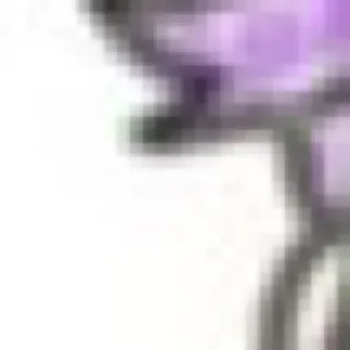 「いと」のユーザーアイコン